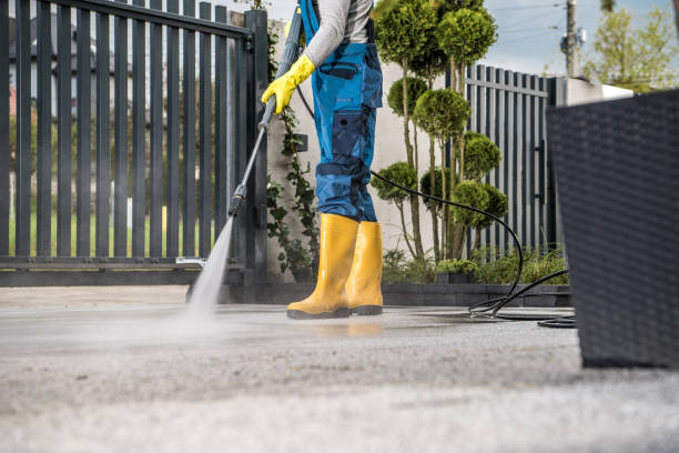 Best Roof Washing  in Benicia, CA